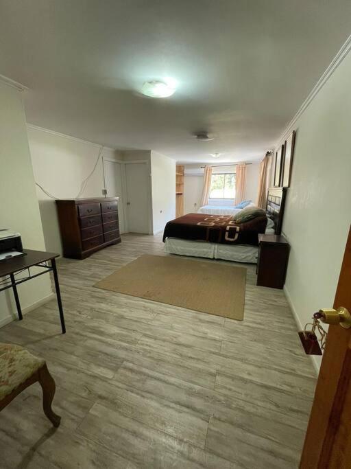 Hostal Nomade *